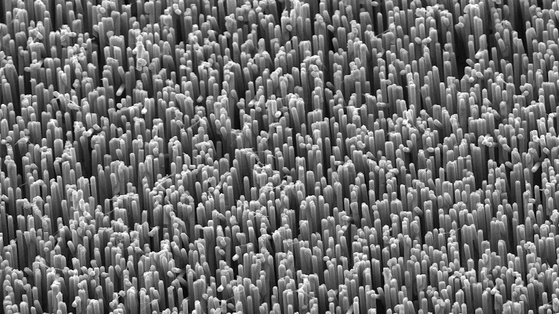 Bild 1: Die Basis der Verfahren der Nanometallrasen (NanoWired GmbH)